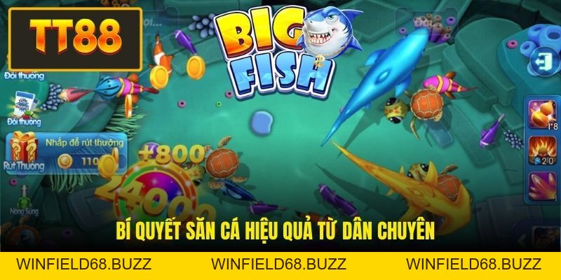 Game Bắn Cá Vui - Trò Chơi Giải Trí Săn Thưởng Đỉnh Cao - WINFIELD68.BUZZ