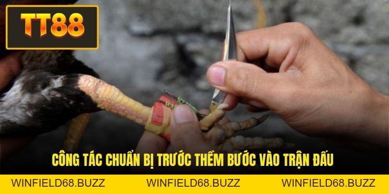 Đá Gà Cựa Sắt - Đỉnh Cao Giải Trí Và Cơ Hội Làm Giàu Nhanh - WINFIELD68.BUZZ