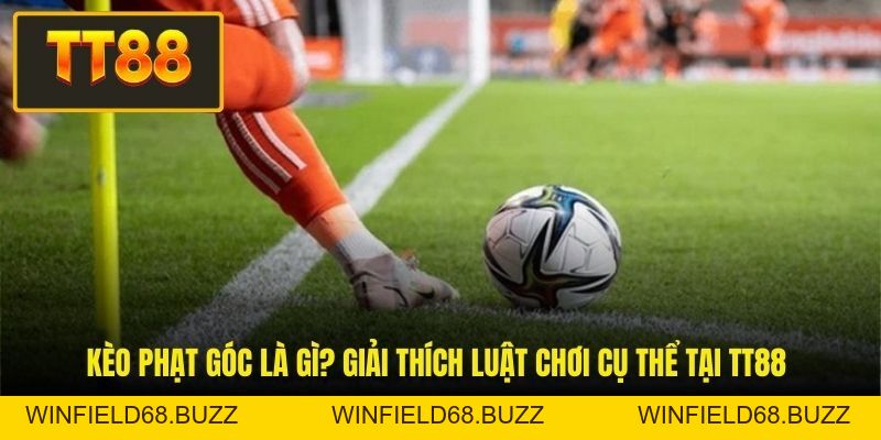 Thể Thao TT88 - Kinh Nghiệm Chơi Kèo Cược Hot - WINFIELD68.BUZZ