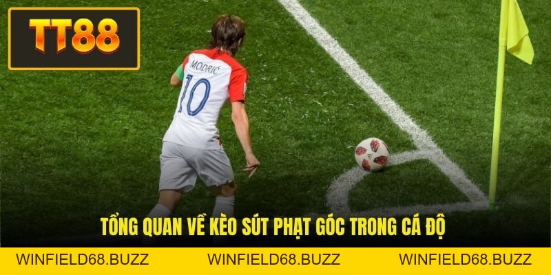 Nhận Định Kèo Phạt Góc - Top 3 Chiến Thuật Phân Tích Ở TT88 - WINFIELD68.BUZZ Nhận Định Kèo Phạt Góc - Top 3 Chiến Thuật Phân Tích Ở TT88 - WINFIELD68.BUZZ