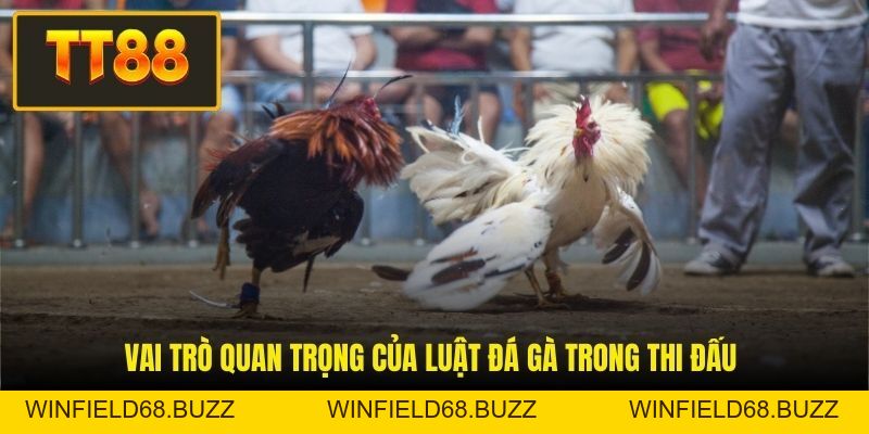 Luật Đá Gà - Cẩm Nang Toàn Tập Về Quy Tắc Thi Đấu Chọi Kê  - WINFIELD68.BUZZ